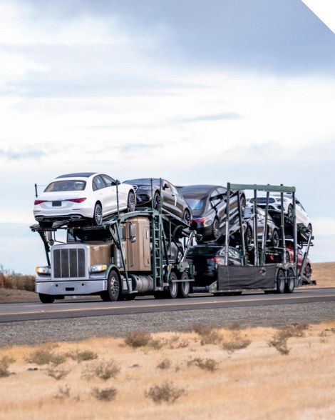 new-mexico-auto